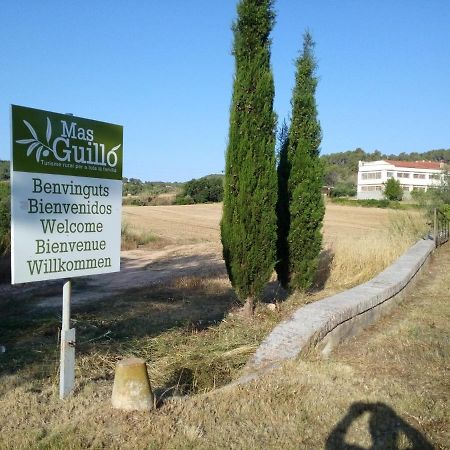 La Nursery De Mas Guillo San Quintin de Mediona Екстер'єр фото