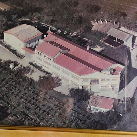 La Nursery De Mas Guillo San Quintin de Mediona Екстер'єр фото